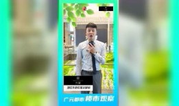 陇南都市爆料新闻直播回放,直播回放揭示最新热点事件