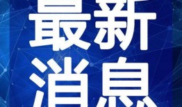 大牌假货爆料案例最新视频,最新大牌假货爆料视频深度解析